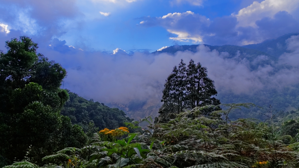 13 - Quetzal NP (10).jpg